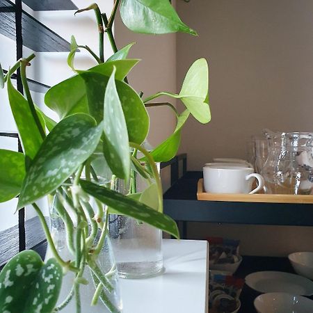 Bed And Breakfast 'Wij En De Zande' Kamperveen Ngoại thất bức ảnh