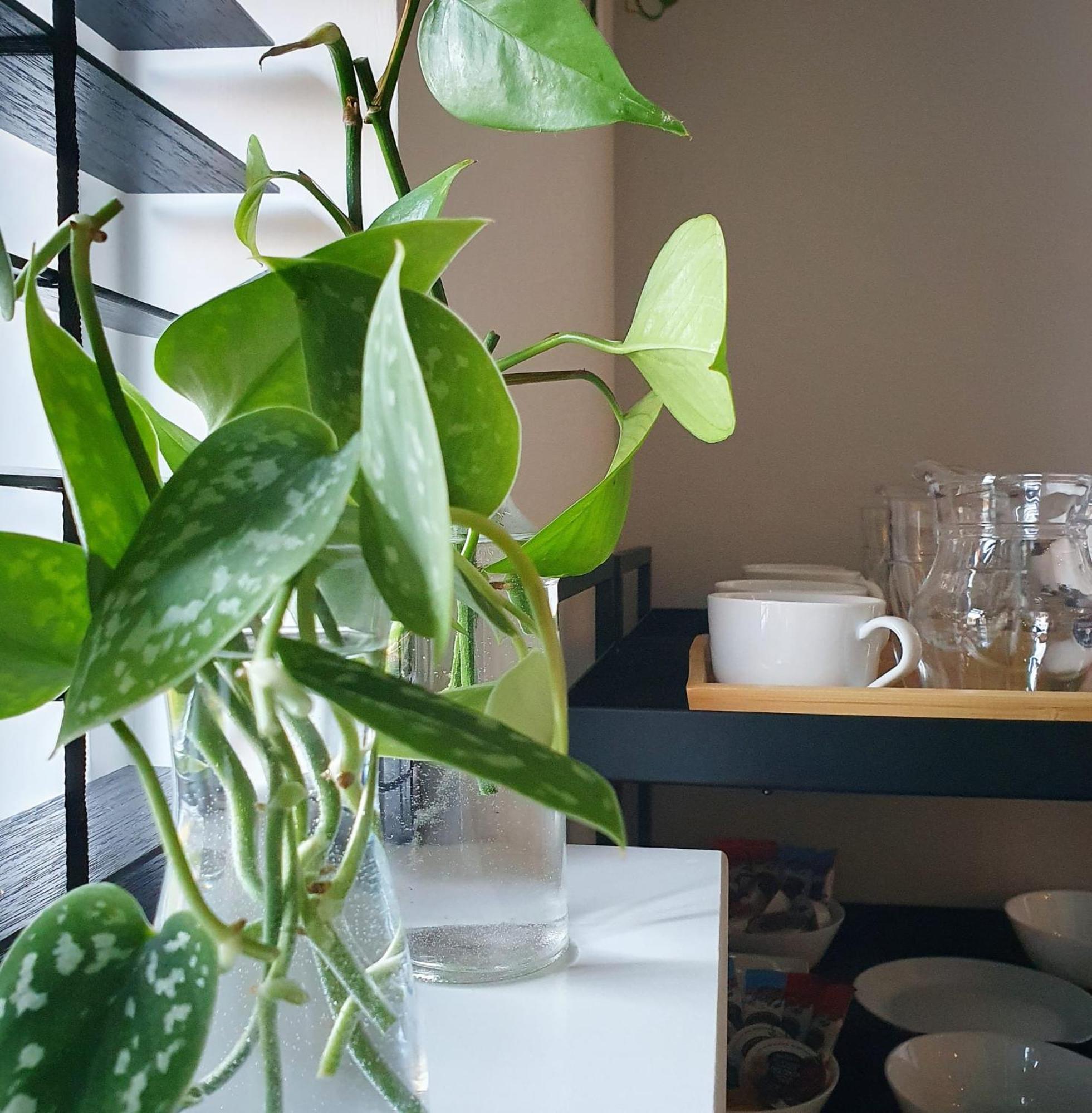 Bed And Breakfast 'Wij En De Zande' Kamperveen Ngoại thất bức ảnh